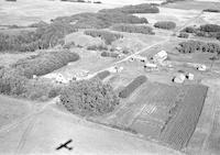 Aerial photograph of a farm near St. Walburg, SK