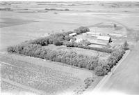 Aerial photograph of a farm near Borden, SK (41-8-W3)