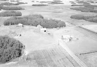 Aerial photograph of a farm near Borden, SK (41-8-W3)