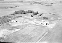 Aerial photograph of a farm near Tramping Lake, SK (16-37-21-W3)