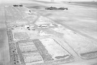 Aerial photograph of a farm near Speers, SK (23-43-11-W3)