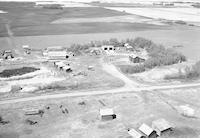 Aerial photograph of a farm near Hafford, SK (49-10-W3)