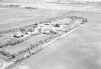 Aerial photograph of a farm near Tramping Lake, SK (37-21-W3)