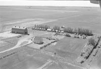 Aerial photograph of a farm near Fielding, SK (15-41-11-W3)