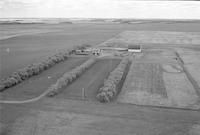 Aerial photograph of a farm near Turtleford, SK (52-21-W3)