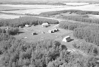 Aerial photograph of a farm near Hafford, SK (42-9-W3)