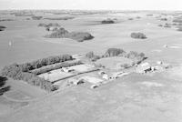 Aerial photograph of a farm near St. Walburg, SK