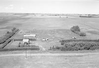 Aerial photograph of a farm near Turtleford, SK (51-20-W3)