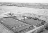 Aerial photograph of a farm near Fielding, SK (30-41-11-W3)