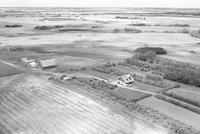 Aerial photograph of a farm near Paynton, SK (46-12-W3)