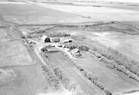 Aerial photograph of a farm near Cutknife, SK (17-43-21-W3)