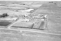 Aerial photograph of a farm near Battleford, SK (42-16-W3)