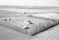 Aerial photograph of a farm near Battleford, SK (42-16-W3)