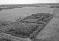 Aerial photograph of a farm near Radisson, SK (40-10-W3)