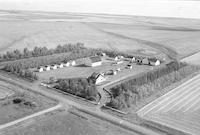 Aerial photograph of a farm near Cutknife, SK (18-43-21-W3)