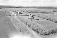 Aerial photograph of a farm near Wilkie, SK (41-18-W3)