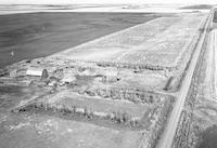 Aerial photograph of a farm in Saskatchewan (41-21-W3)