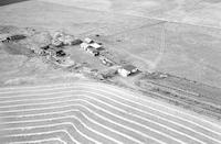 Aerial photograph of a farm in Saskatchewan (44-16-W3)