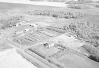 Aerial photograph of a farm near Bresaylor, SK (46-20-W3)