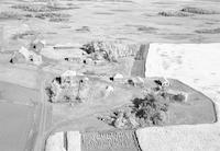 Aerial photograph of a farm in Saskatchewan (47-13-W3)
