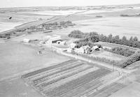 Aerial photograph of a farm in Saskatchewan (38-11-W3)