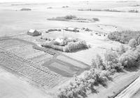 Aerial photograph of a farm in Saskatchewan (38-11-W3)