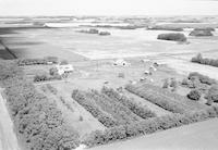 Aerial photograph of a farm in Saskatchewan (38-11-W3)