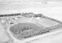 Aerial photograph of a farm in Saskatchewan (38-12-W3)