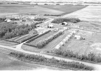 Aerial photograph of a farm in Saskatchewan (13-48-24-W3)