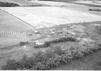 Aerial photograph of a farm in Saskatchewan (49-3-W3)