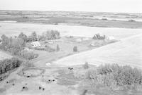 Aerial photograph of a farm in Saskatchewan (50-20-W3)