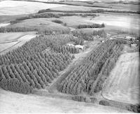 Aerial photograph of a farm in Saskatchewan (51-20-W3)