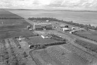 Aerial photograph of a farm near Landis, SK (36-17-W3)