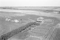 Aerial photograph of a farm in Saskatchewan (37-19-W3)