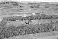 Aerial photograph of a farm in Saskatchewan (38-28-W3)