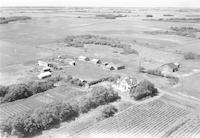 Aerial photograph of a farm in Saskatchewan (41-8-W3)