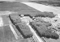 Aerial photograph of a farm near Meadow Lake, SK