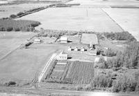 Aerial photograph of a farm near Meadow Lake, SK