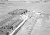 Aerial photograph of a farm in Saskatchewan (41-10-W3)