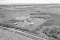 Aerial photograph of a farm near Ibstone, SK (41-18-W3)
