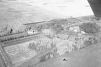 Aerial photograph of a farm in Saskatchewan (9-46-17-W3)