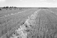 Aerial photograph of a farm in Saskatchewan (48-18-W3)