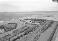 Aerial photograph of a farm near Reward, SK (37-24-W3)