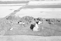 Aerial photograph of a farm in Saskatchewan (20-42-18-W3)