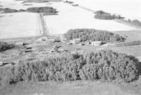 Aerial photograph of a farm in Saskatchewan (1-43-15-W3)