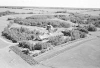 Aerial photograph of a farm near St. Walburg, SK