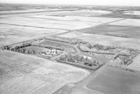 Aerial photograph of a farm near Speers, SK (44-11-W3)