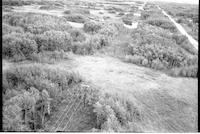 Sask Power power lines