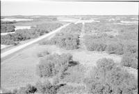 Sask Power power lines